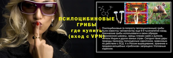 ГАЛЛЮЦИНОГЕННЫЕ ГРИБЫ Абаза