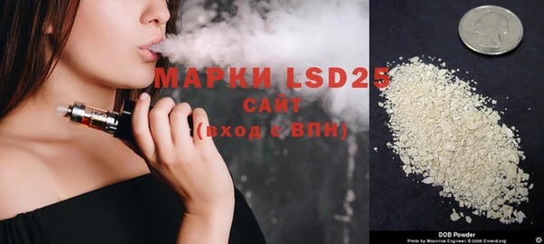 ГАЛЛЮЦИНОГЕННЫЕ ГРИБЫ Абаза