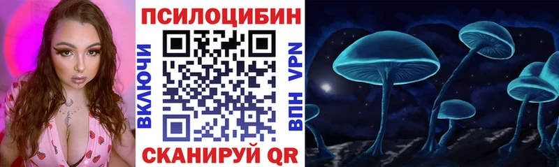 где купить наркоту  Тамбов  Псилоцибиновые грибы Cubensis 