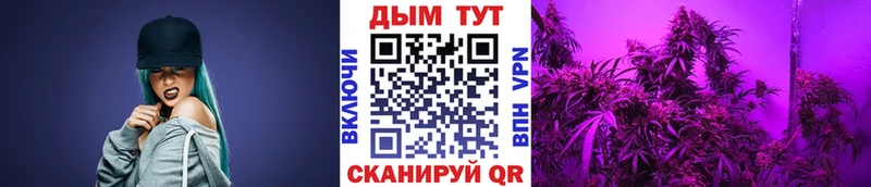 наркота  Тамбов  Конопля MAZAR 